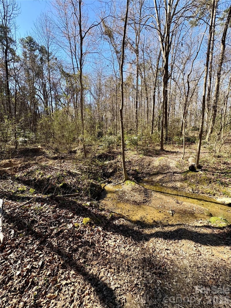 1417 Ellis Griffin Rd, Wingate, NC 28174