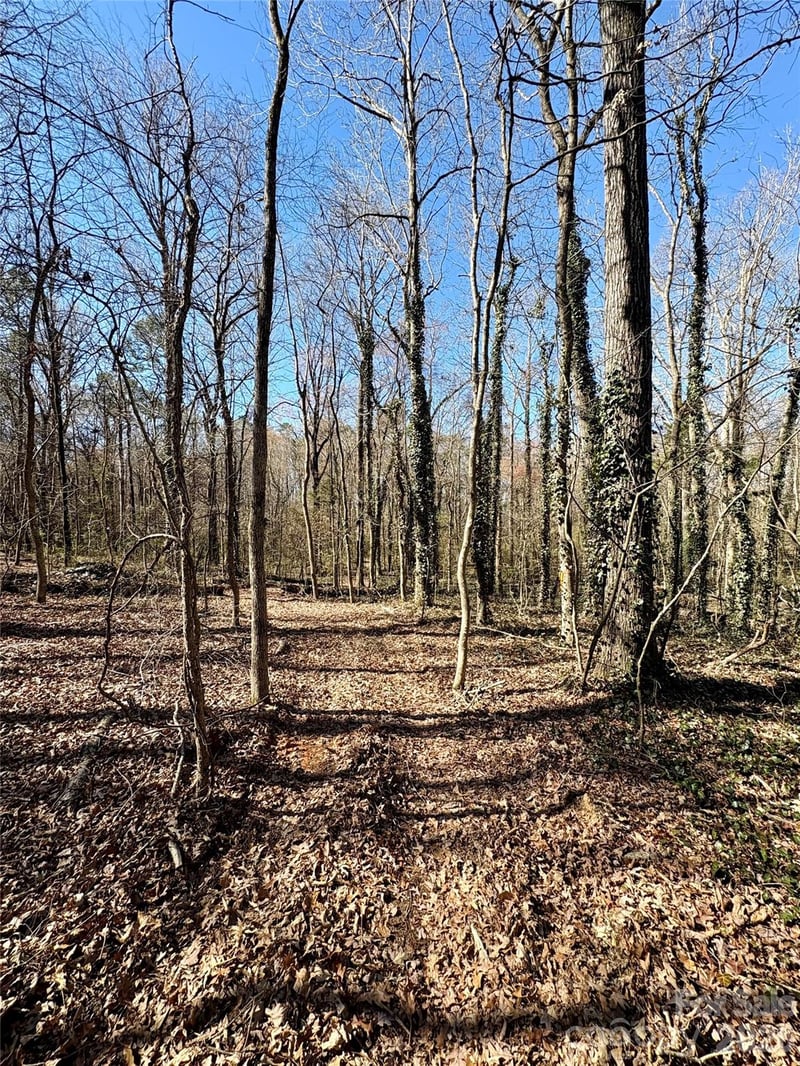 1417 Ellis Griffin Rd, Wingate, NC 28174