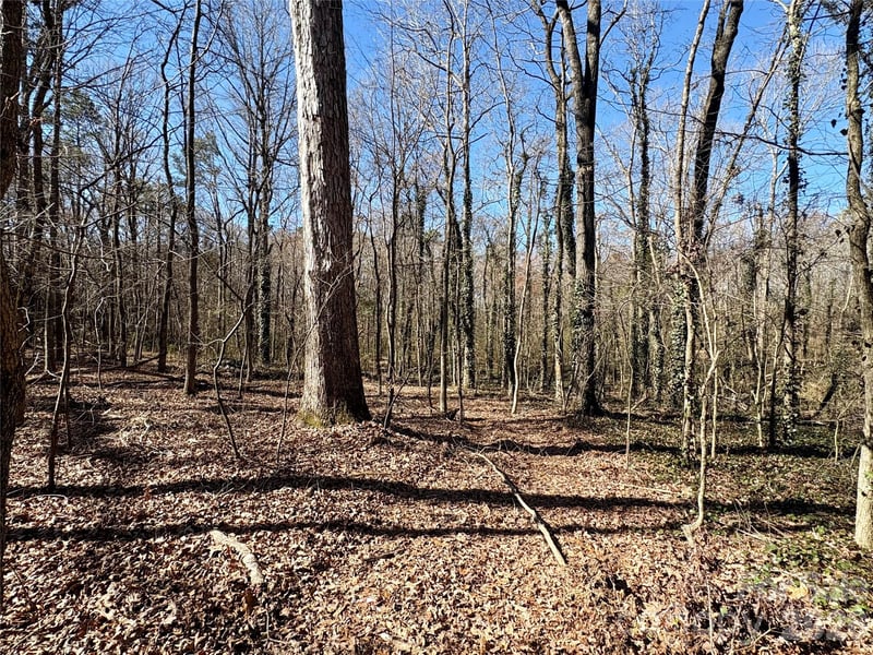 1417 Ellis Griffin Rd, Wingate, NC 28174
