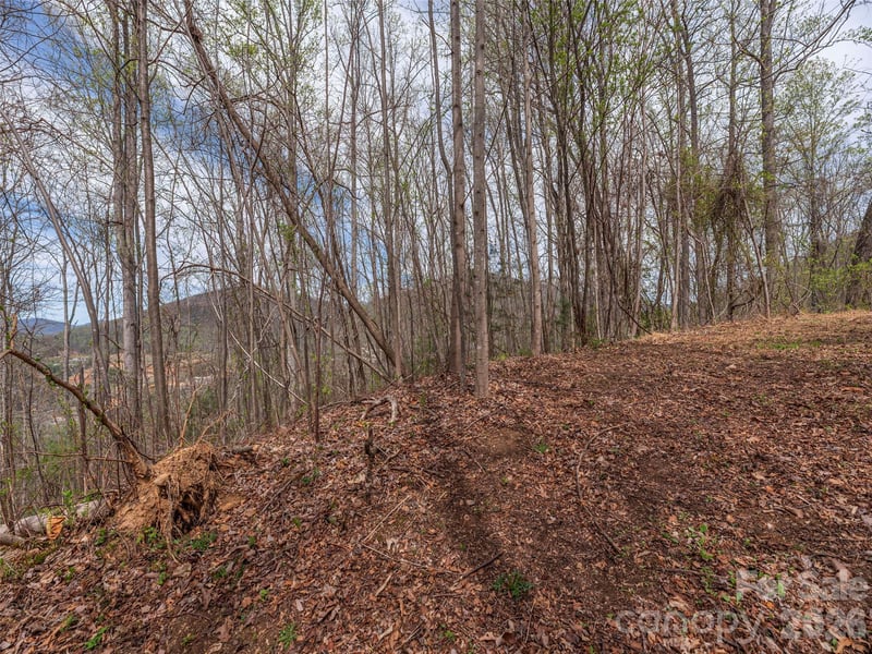 137 - 145 Cedar Mountain Rd, Asheville, NC 28803