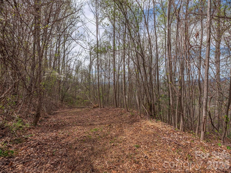 137 - 145 Cedar Mountain Rd, Asheville, NC 28803