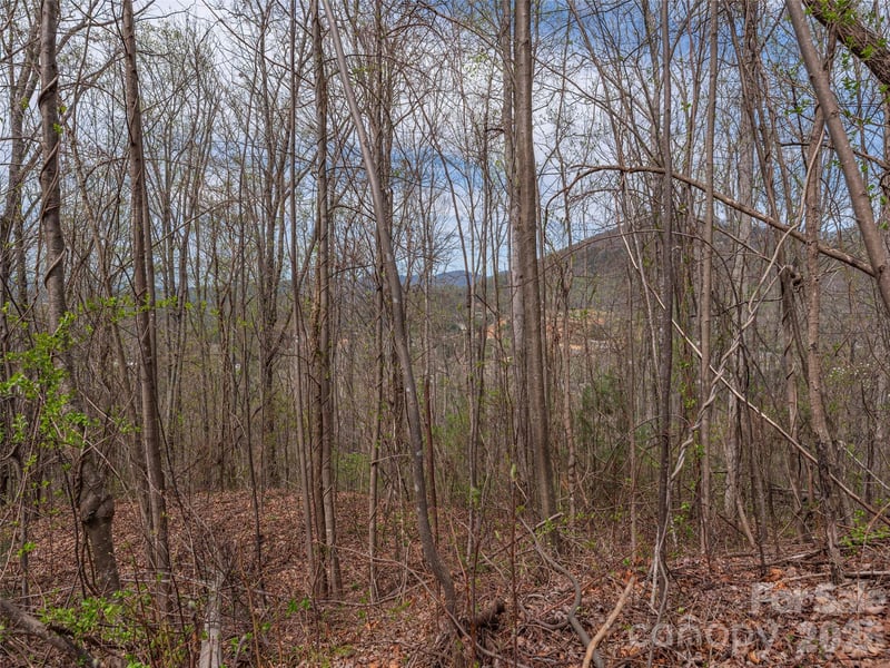 137 - 145 Cedar Mountain Rd, Asheville, NC 28803