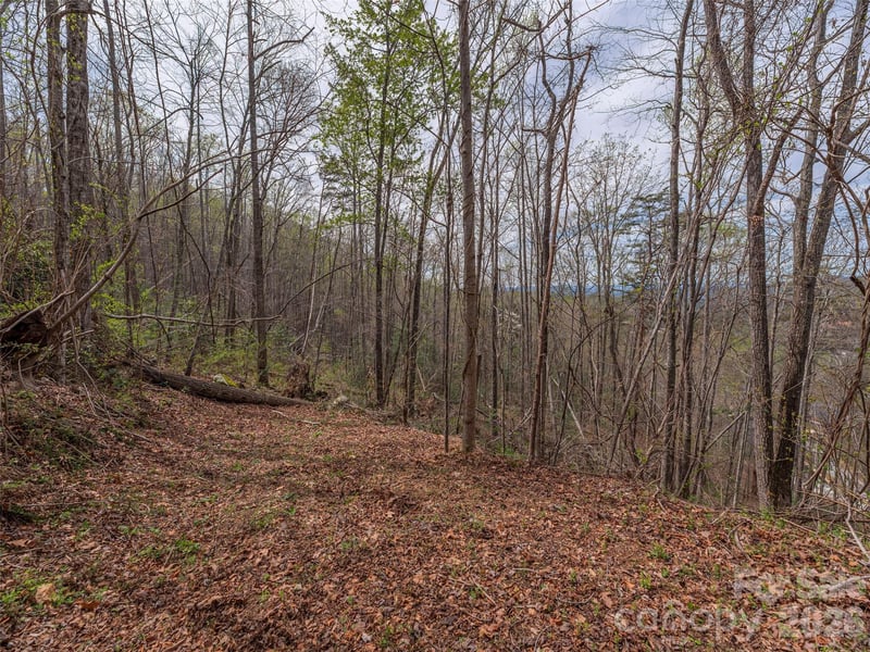 91 - 101 Cedar Mountain Rd, Asheville, NC 28803