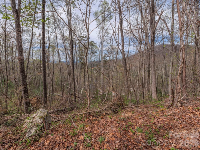 91 - 101 Cedar Mountain Rd, Asheville, NC 28803