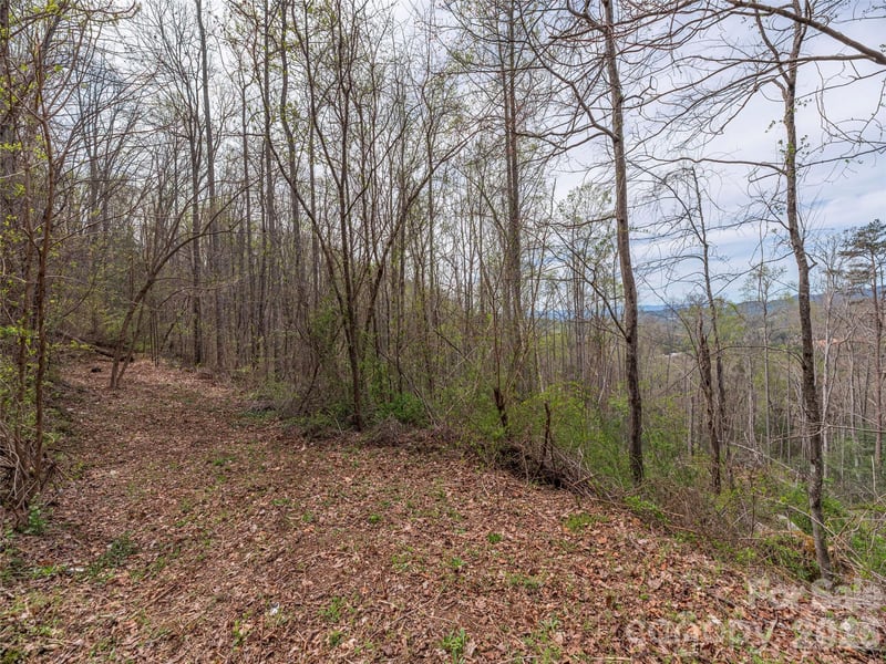 111 - 125 Cedar Mountain Rd, Asheville, NC 28803