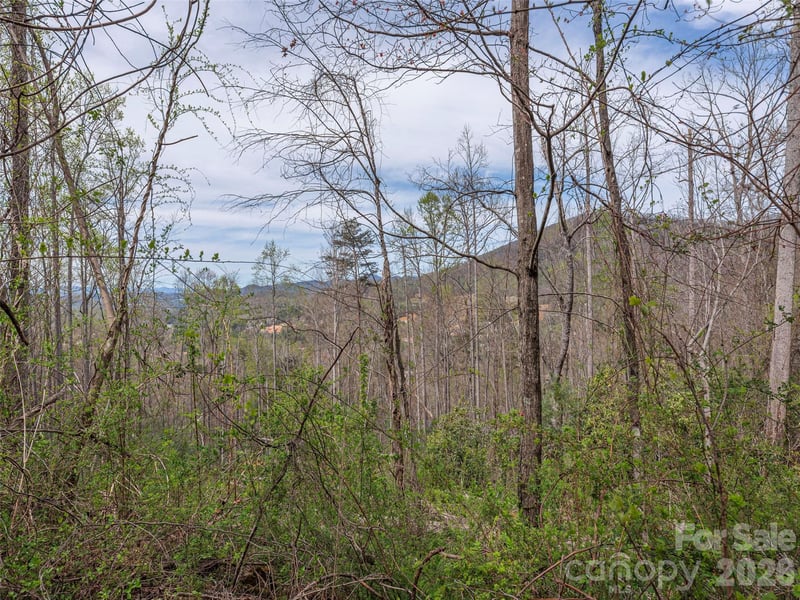 111 - 125 Cedar Mountain Rd, Asheville, NC 28803