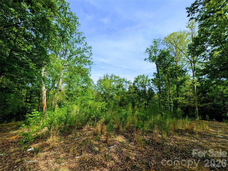 426 Mountain Ridge Ct, Fort Mill, SC 29707