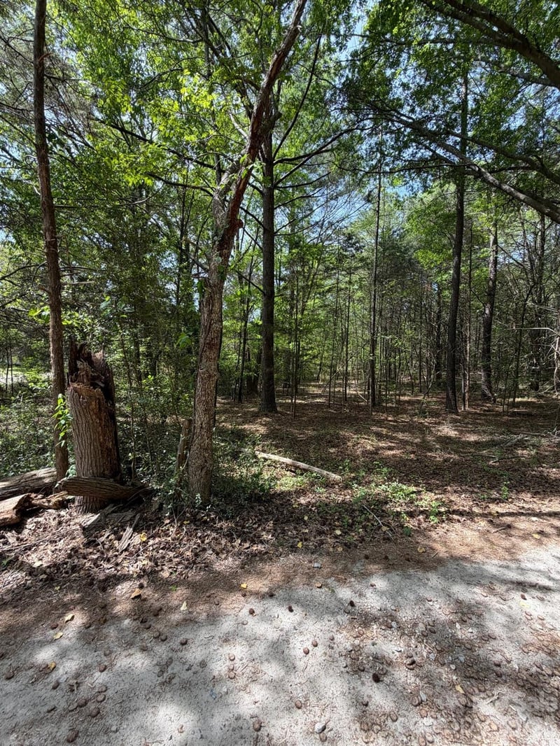 00 William Stevenson Rd, Richburg, SC 29729
