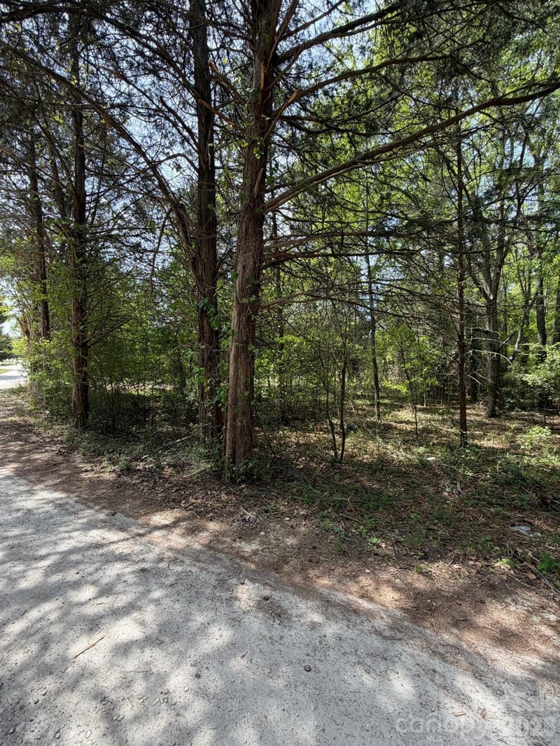00 William Stevenson Rd, Richburg, SC 29729