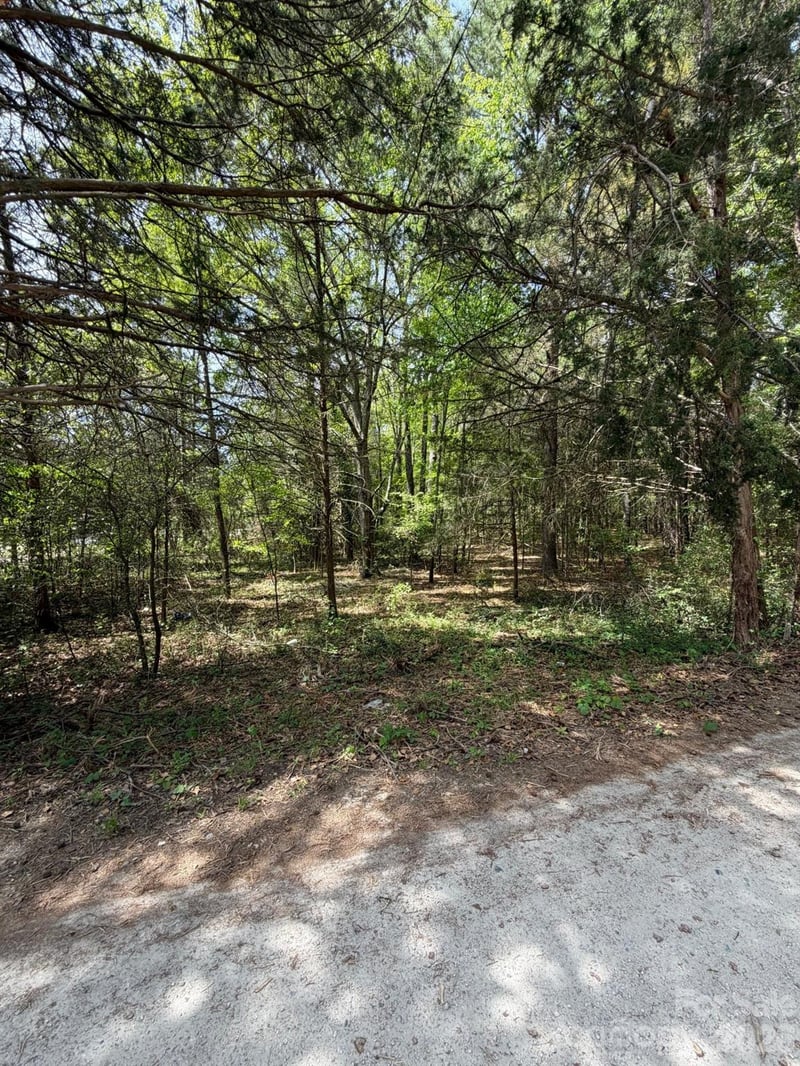 00 William Stevenson Rd, Richburg, SC 29729