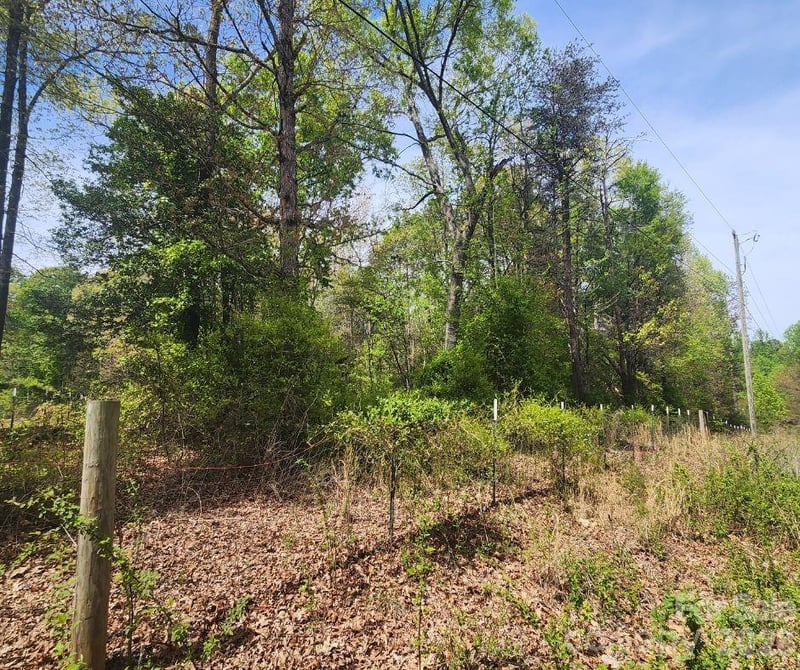 00 Saddlebrook Ln, Cherryville, NC 28021