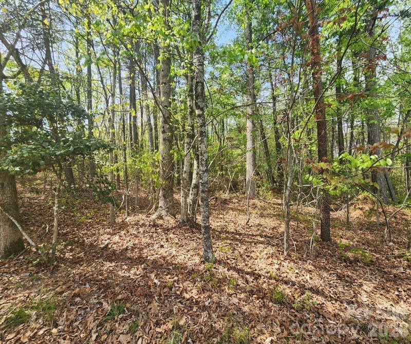 00 Saddlebrook Ln, Cherryville, NC 28021