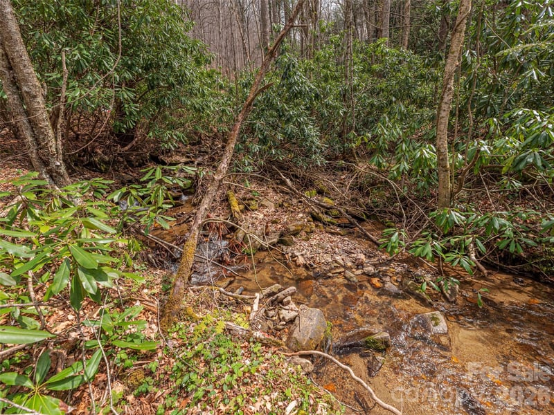 00 Norton Fork Rd, Spring Creek, NC 28743