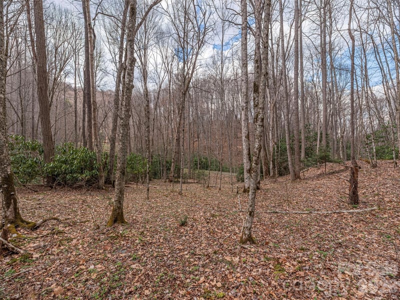 00 Norton Fork Rd, Spring Creek, NC 28743