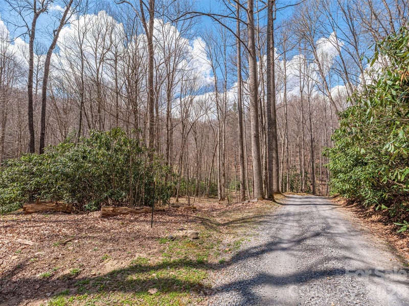 00 Norton Fork Rd, Spring Creek, NC 28743