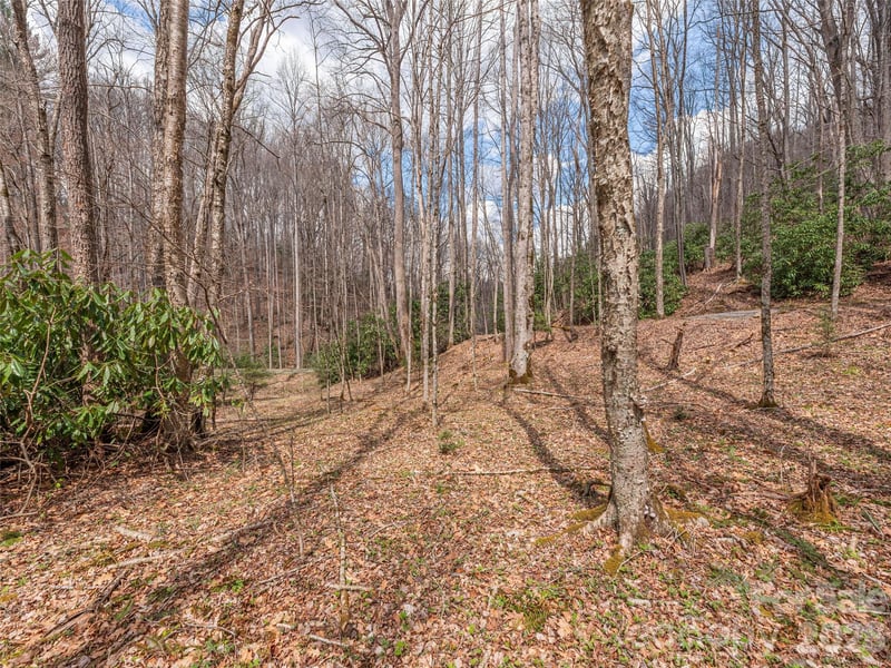 00 Norton Fork Rd, Spring Creek, NC 28743