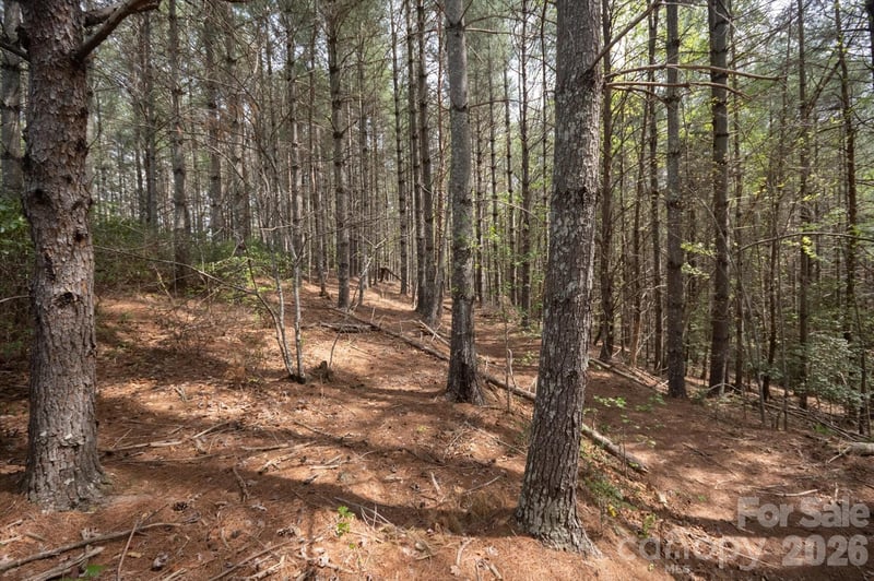 103 Big Tree Way, Nebo, NC 28761