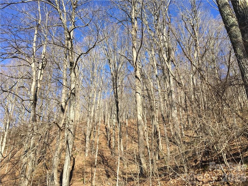 99999 Red Oak Forest Rd, Fairview, NC 28730