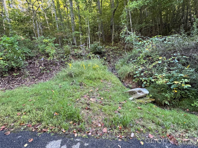 TBD Red Oak Forest Rd, Fairview, NC 28730