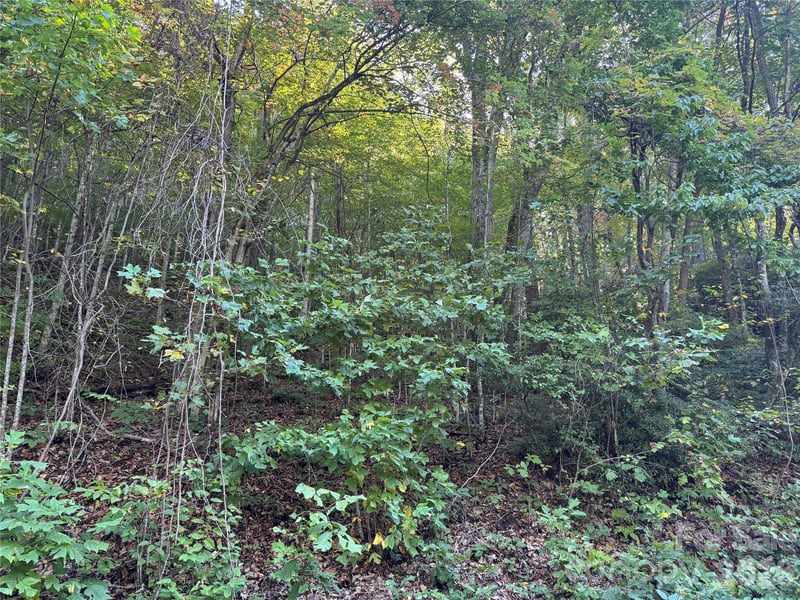 TBD Red Oak Forest Rd, Fairview, NC 28730