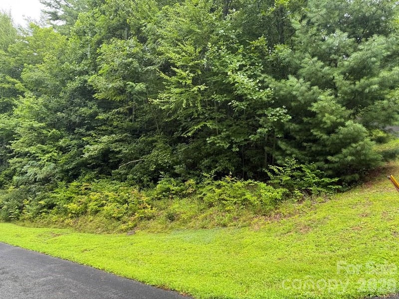Lot 6 Garnet Rd, Sylva, NC 28779