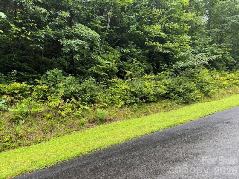 Lot 6 Garnet Rd, Sylva, NC 28779