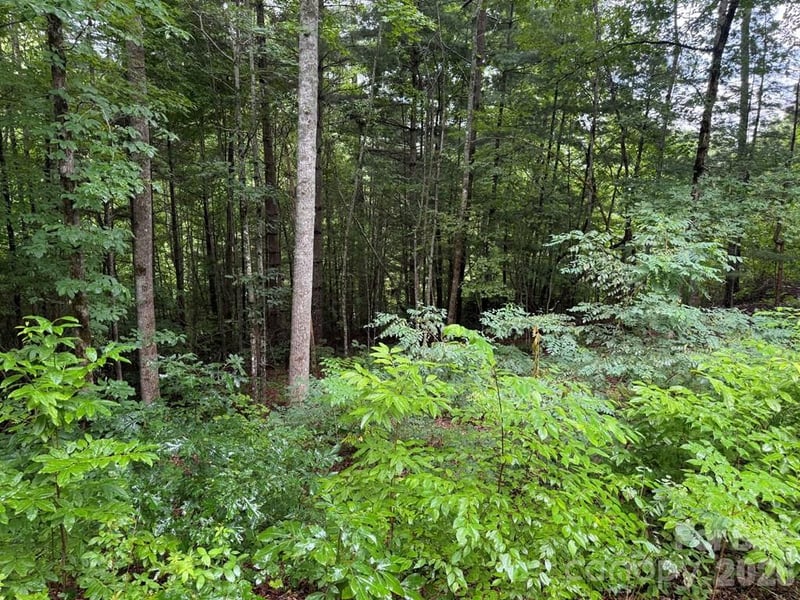 Lot 6 Garnet Rd, Sylva, NC 28779