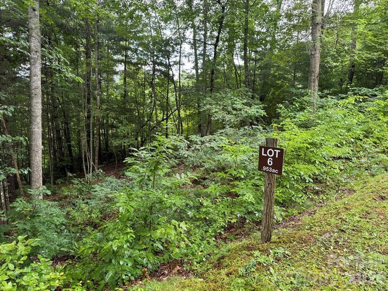 Lot 6 Garnet Rd, Sylva, NC 28779