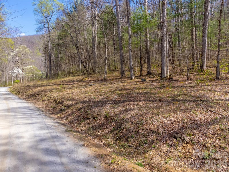 306 Cedar Creek Farm Rd, Tuckasegee, NC 28783