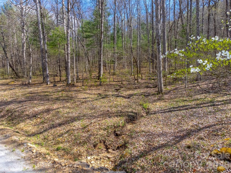 306 Cedar Creek Farm Rd, Tuckasegee, NC 28783