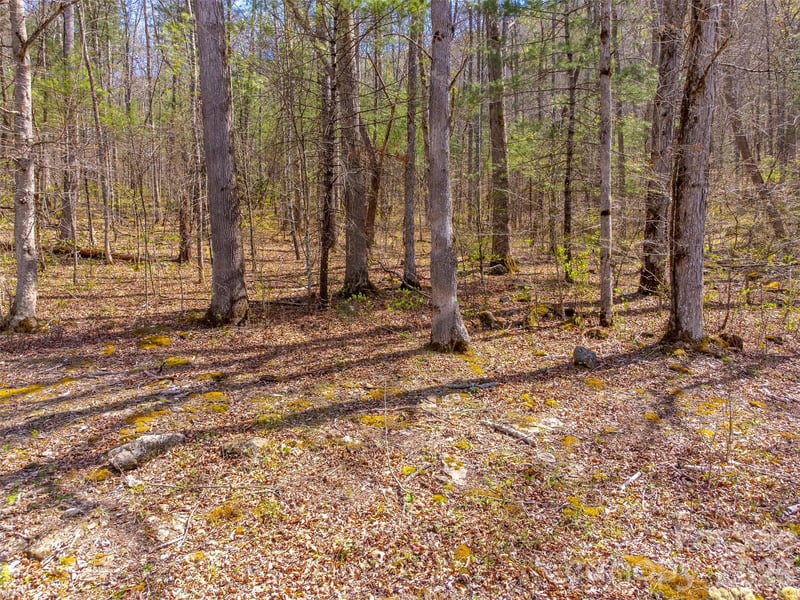 306 Cedar Creek Farm Rd, Tuckasegee, NC 28783