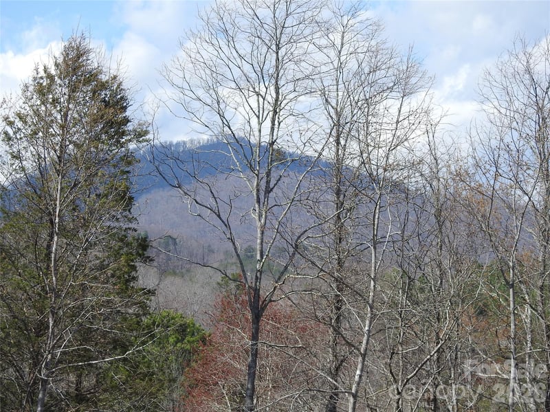00 Laurel Lakes Pw #2, Lake Lure, NC 28746