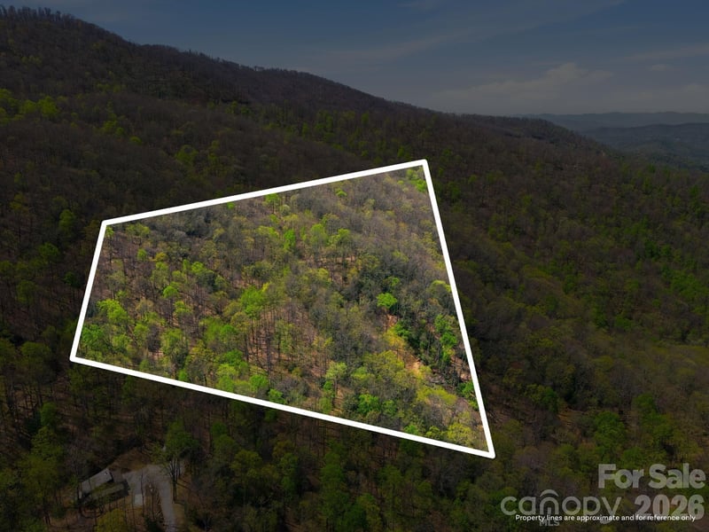 9999 Lytle Cove Rd, Swannanoa, NC 28778