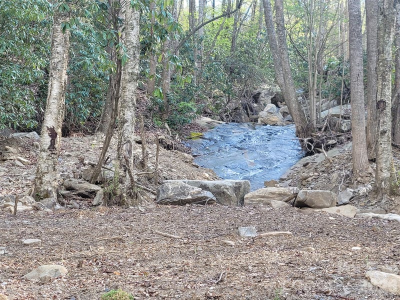 9999 Lytle Cove Rd, Swannanoa, NC 28778