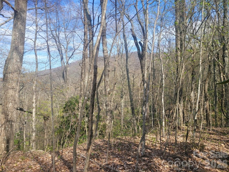 9999 Lytle Cove Rd, Swannanoa, NC 28778