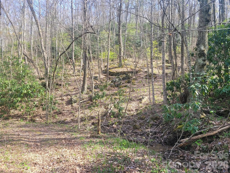 9999 Lytle Cove Rd, Swannanoa, NC 28778