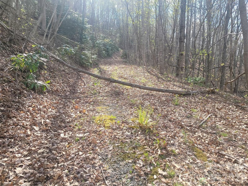 9999 Lytle Cove Rd, Swannanoa, NC 28778