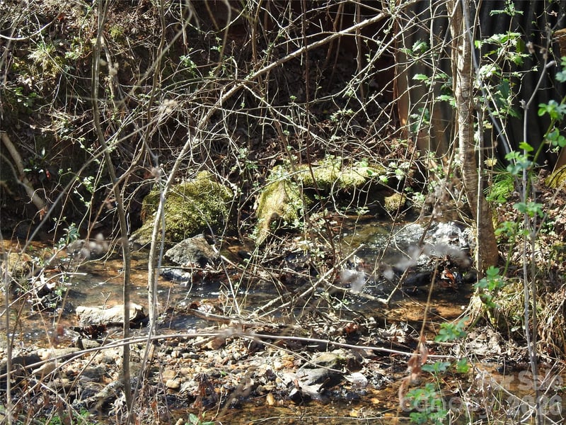 00 Laurel Lakes Pw Lot 1, Lake Lure, NC 28746