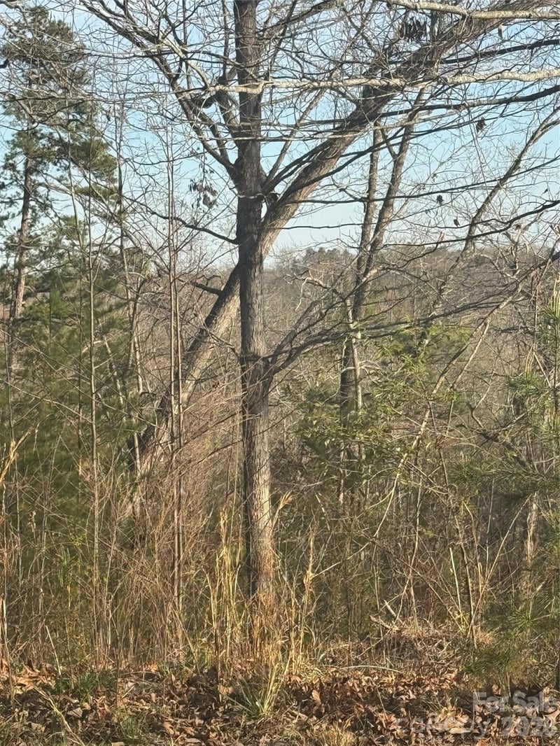 Willow Top Ln #317, Lake Lure, NC 28746