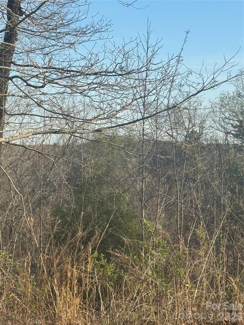 Willow Top Ln #317, Lake Lure, NC 28746
