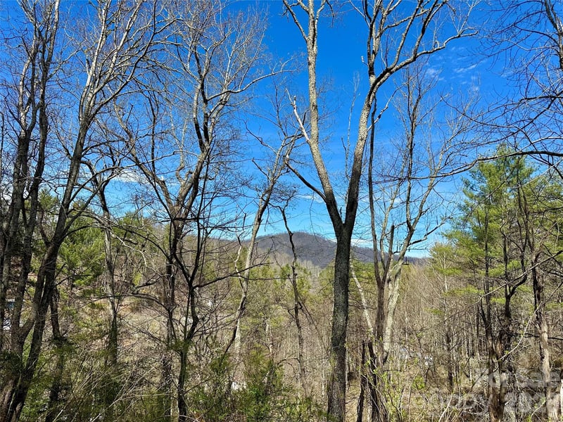 000 Mitchell Ave, Bakersville, NC 28705