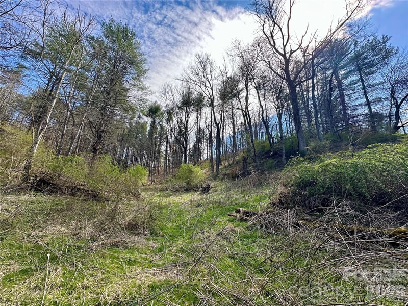 000 Mitchell Ave, Bakersville, NC 28705