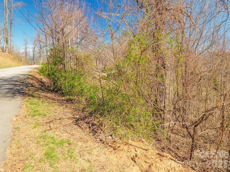 61 Ben Lippen School Rd, Asheville, NC 28806