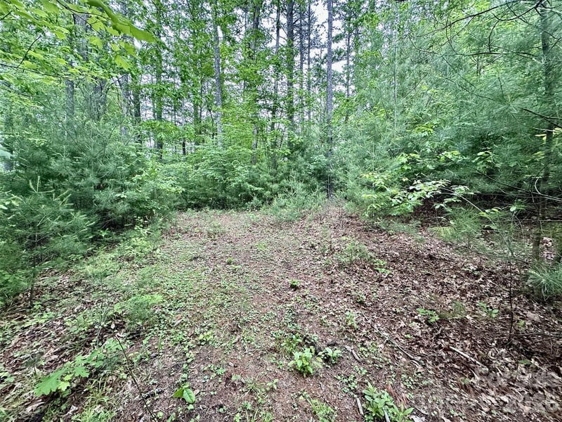11 Wildlife Dr #11, Clyde, NC 28721
