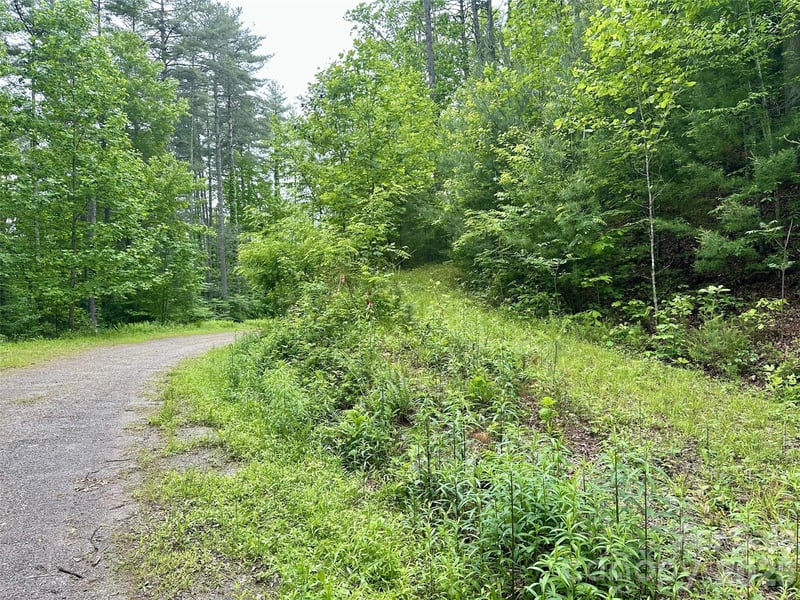 11 Wildlife Dr #11, Clyde, NC 28721