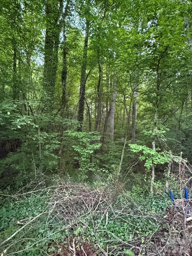 00 Winterhaven Rd #4, Taylorsville, NC 28681