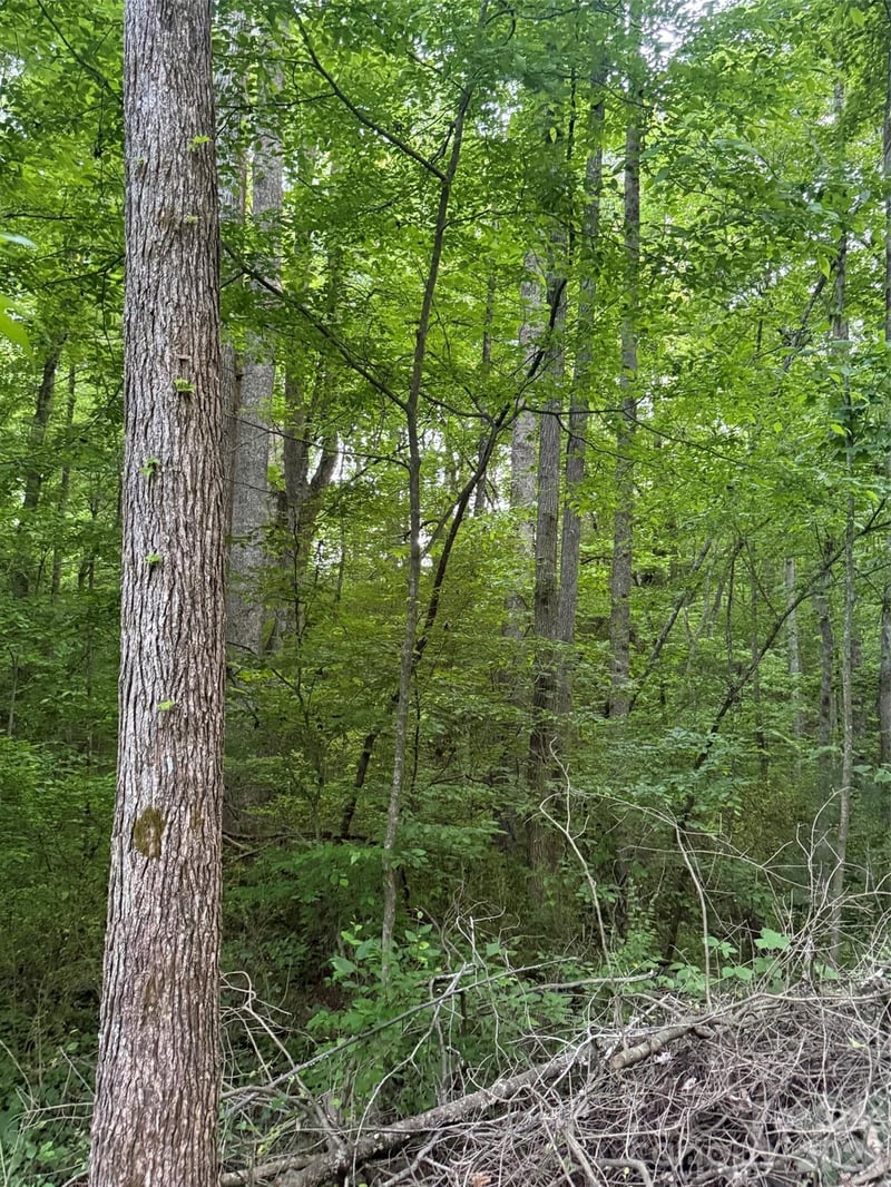 00 Winterhaven Rd #4, Taylorsville, NC 28681