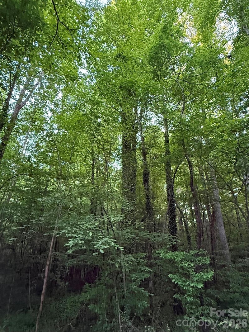 00 Winterhaven Rd #4, Taylorsville, NC 28681