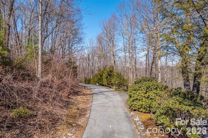 TBD Loganberry Ln, Lake Toxaway, NC 28747
