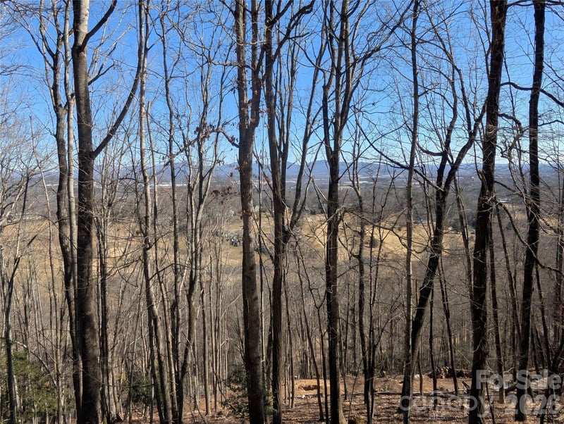 4 Wild Dogwood Trl, Mills River, NC 28759